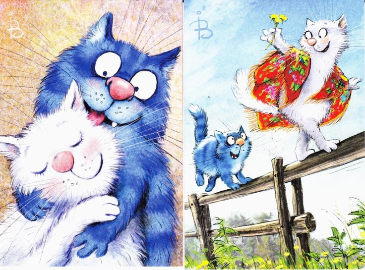 очаровательные коты Рины Зенюк