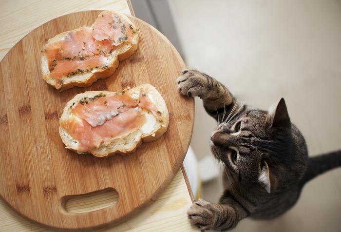 Обложка © Shutterstock / FOTODOM / ToskanaINC