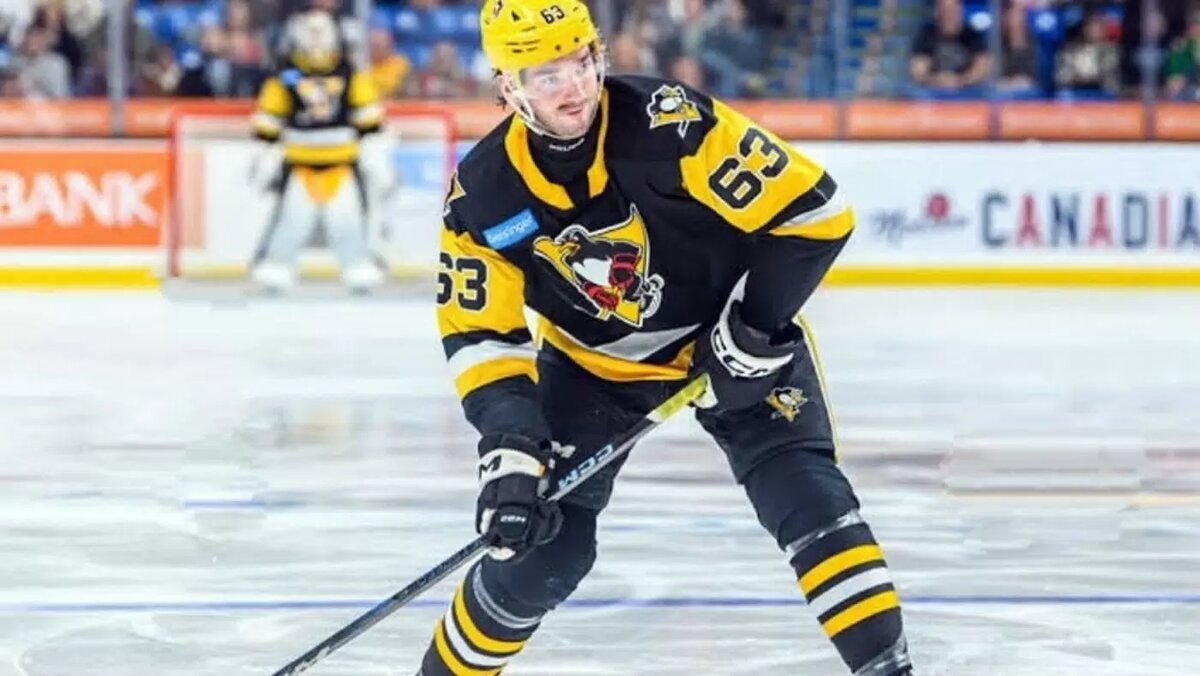 https://www.livesport.ru/hockey/2026/07/03/brickey/