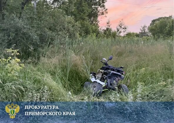    ДТП в Приморье / https://max.ru/id2536042415_gos