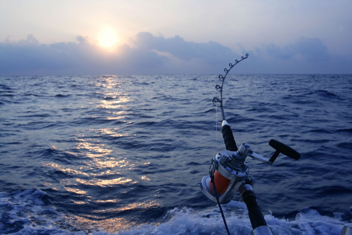    Фото: iStock/LUNAMARINA