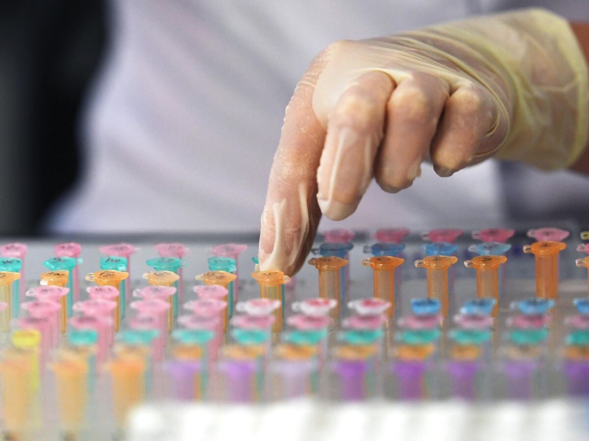    Сотрудница лаборатории Медико-генетического научного центра за работой | © РИА Новости / Михаил Воскресенский