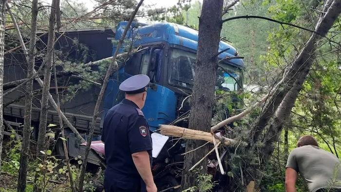 Обложка © Telegram / МВД 24