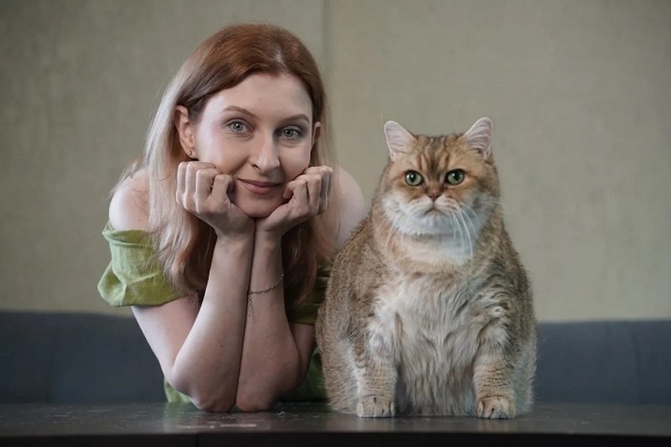    У кота Бориса несколько лишних килограммов, коллекция нарядов и умилительные привычки. Светлана МАКОВЕЕВА