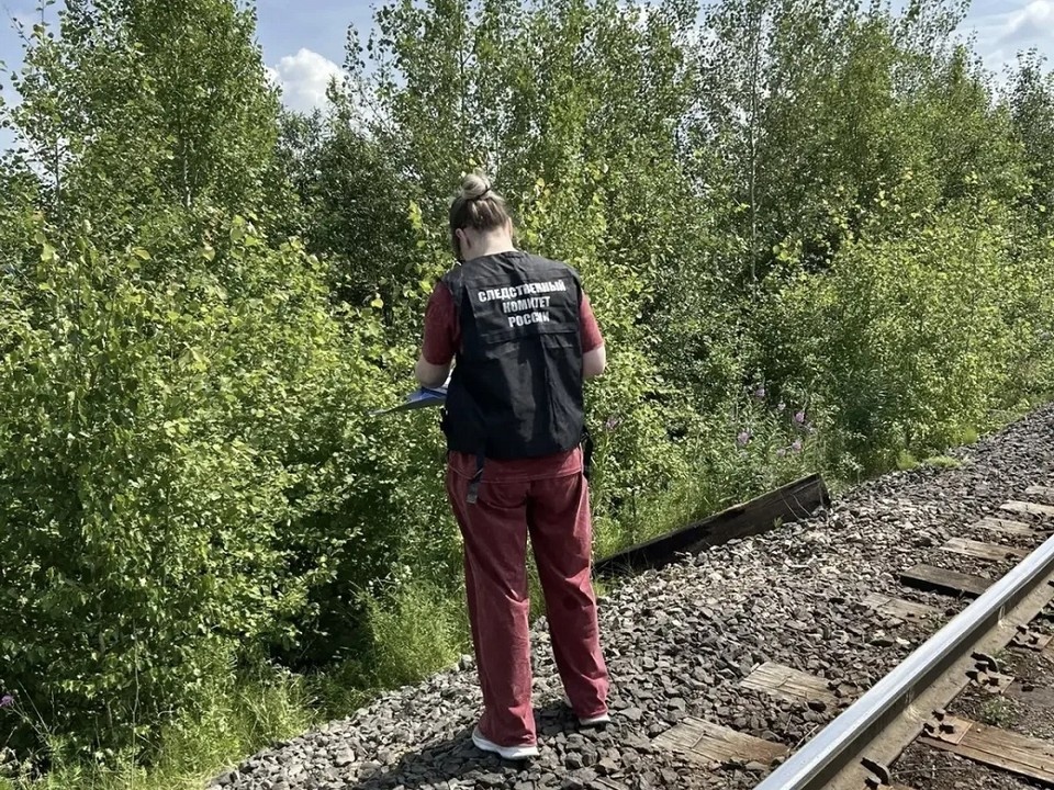    В Ачинске волонтеры обнаружили тело девочки, пропавшей в конце июня вместе с мамой. Фото: краевой СК
