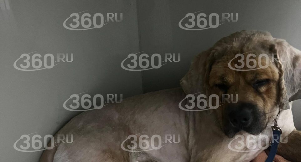   360.ru