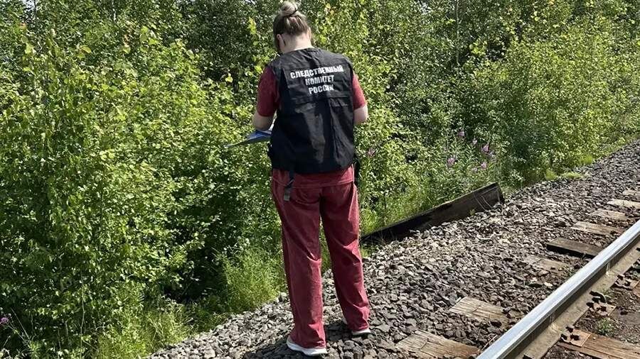    Фото: vk.com/ГСУ СК России по Красноярскому краю и РХ