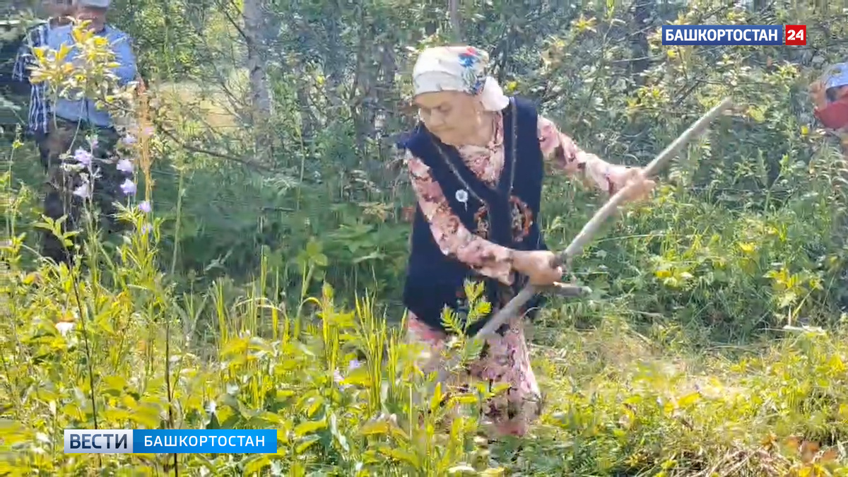    В Башкортостане в соревнованиях косарей приняла участие 91-летняя Шамсинур Кулгарина