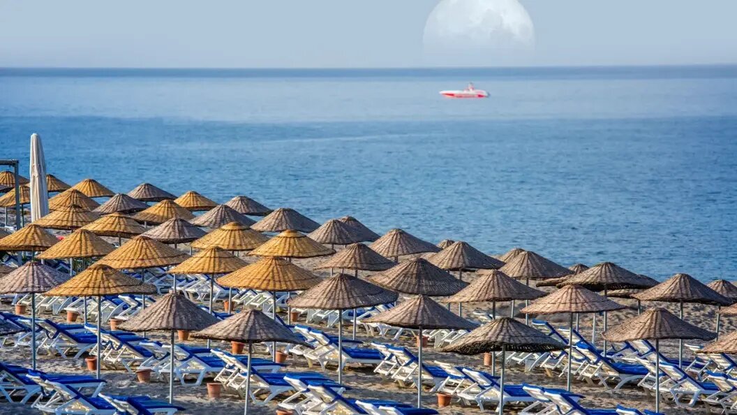    Фото: shutterstock