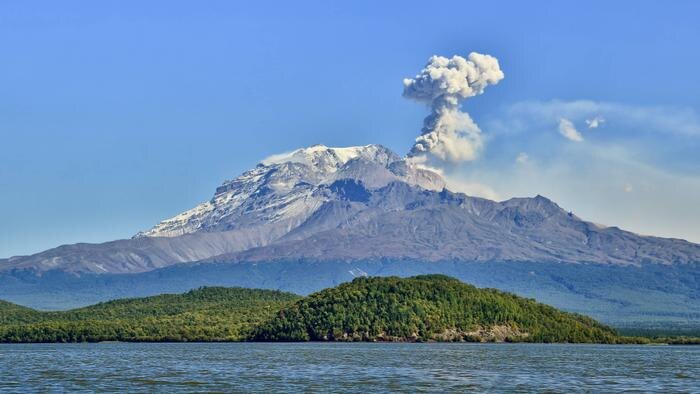 Обложка © Shutterstock / FOTODOM / GENNADY TEPLITSKIY