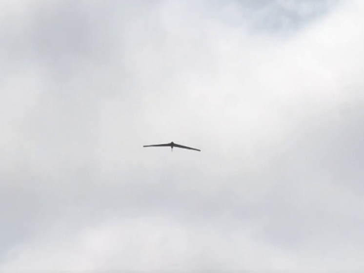     Фото: скрин видео из соцсетей