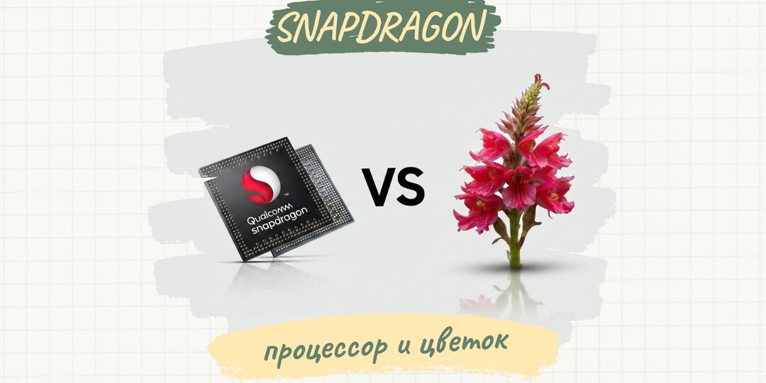 Почему процессор Snapdragon назвали как цветок