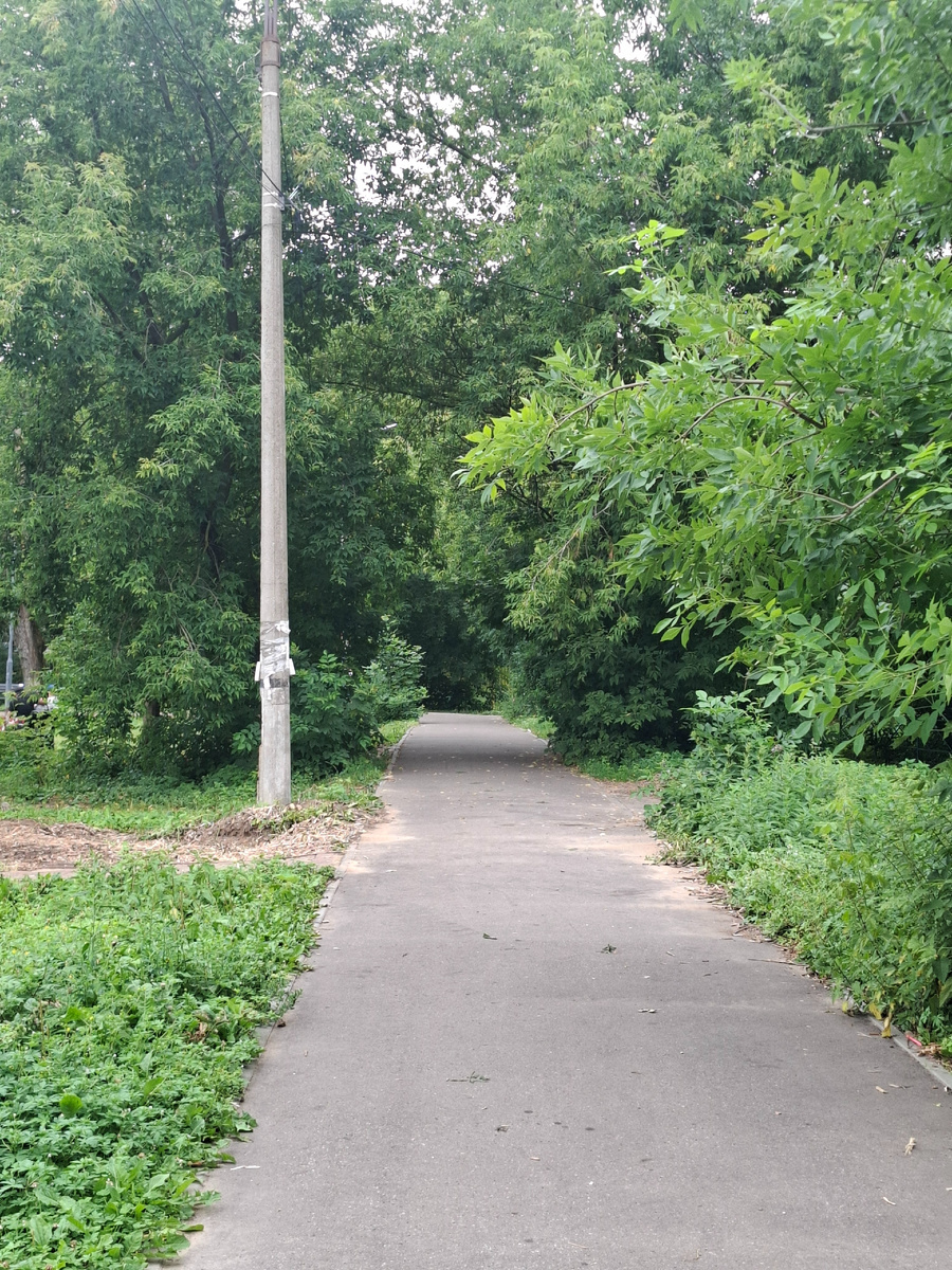 Фото автора.
