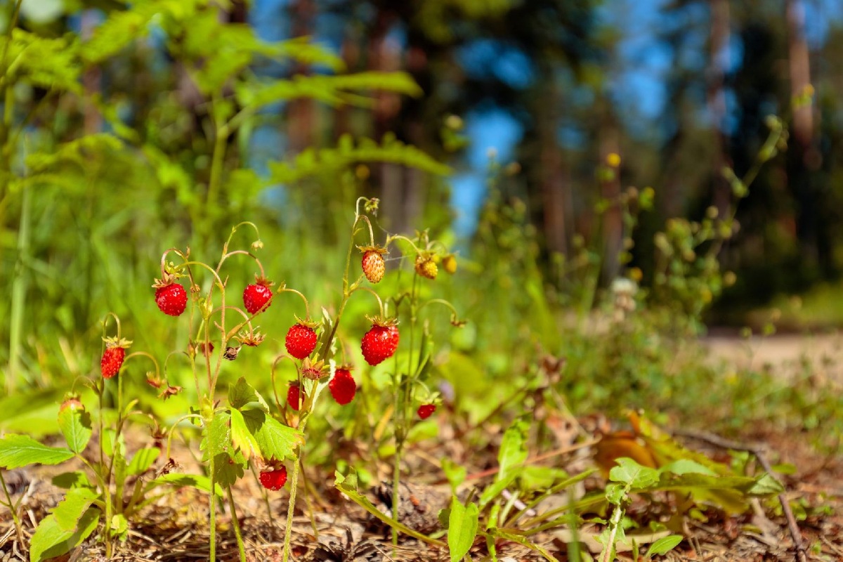    Фото: iStock/ igorr1
