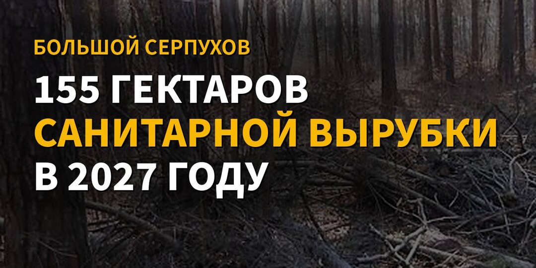 ❗️155 гектаров леса в Большом Серпухове готовят к санитарной вырубке