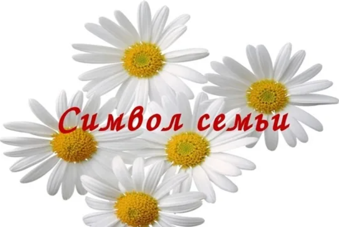 День семьи, любви и верности: праздник, который объединяет