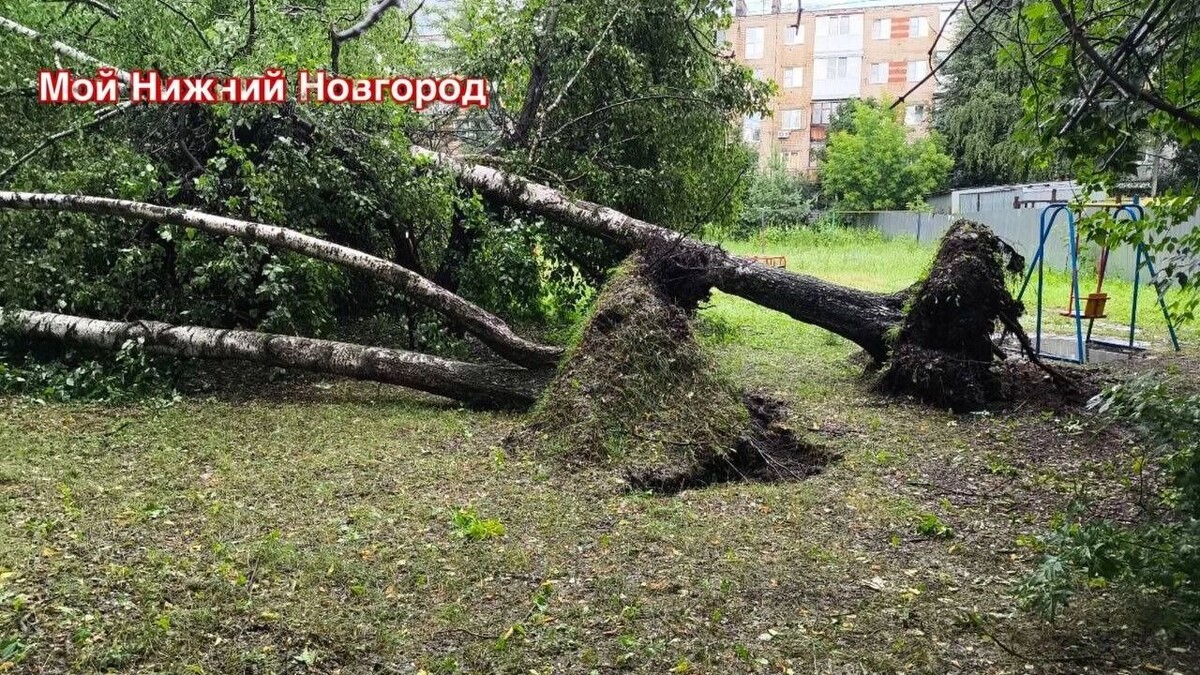    Деревья повалило в Нижегородской области после урагана 5 июля   Telegram-канал «Мой Нижний Новгород»