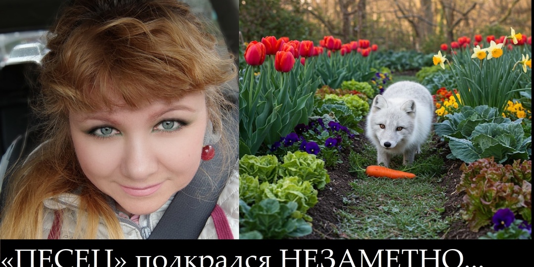 С канала «Есть время под солнцем» сняли все ограничения