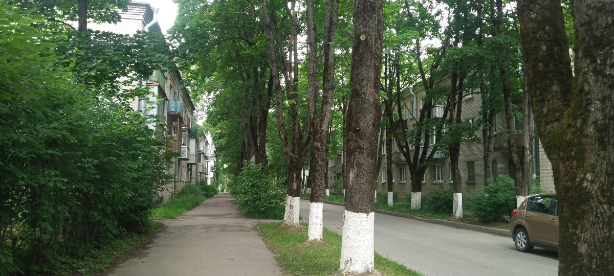 какой зелёный район