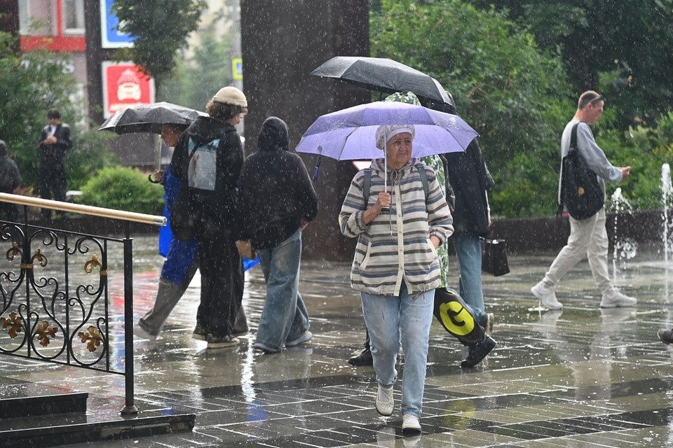    Скорость ветра в Новосибирске достигнет 3-8 метров в секунду. Ольга ЮШКОВА