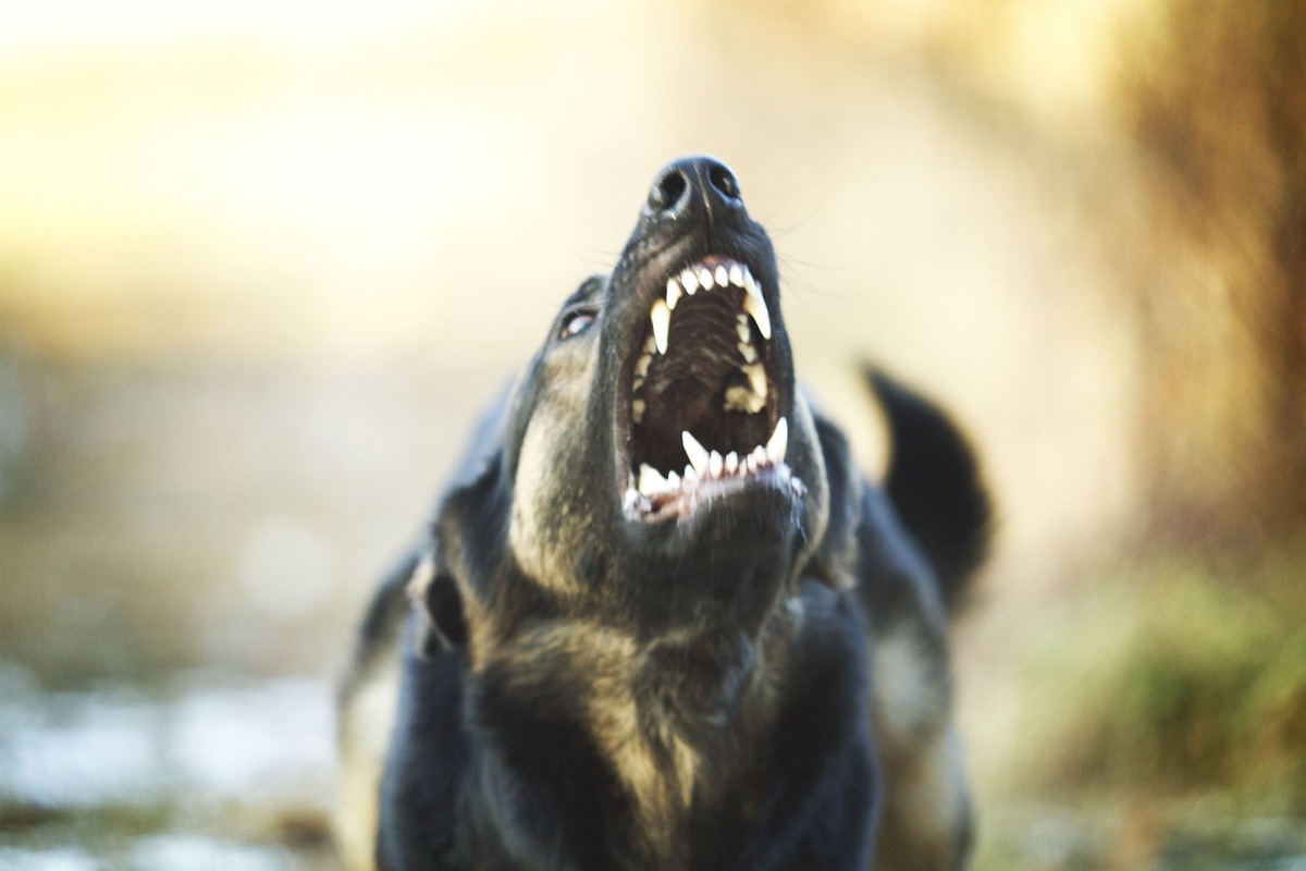    Фото: iStock/Carmelka