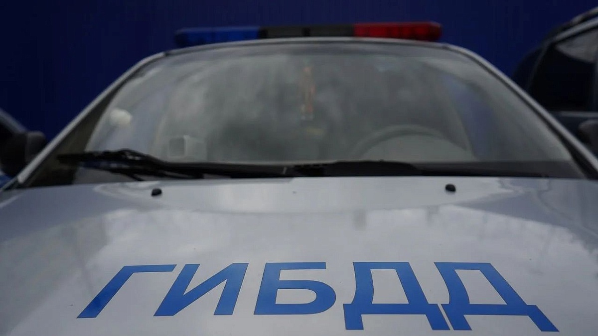    Фото: телеканал «Краснодар»