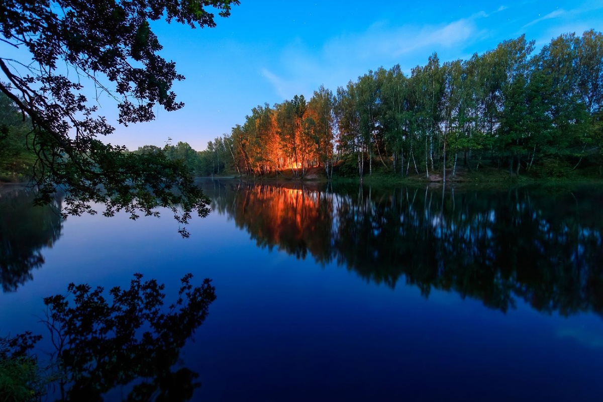   Фото: iStock/ Evgenii Emelianov