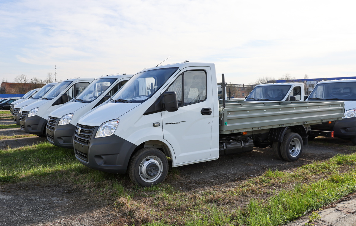    GAZ Gazelle Next  Елена Афонина/ТАСС