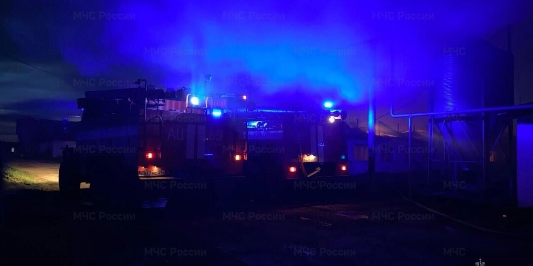 4500 свиней сгорели, 300 спасли: крупный пожар на ферме в Прикамье