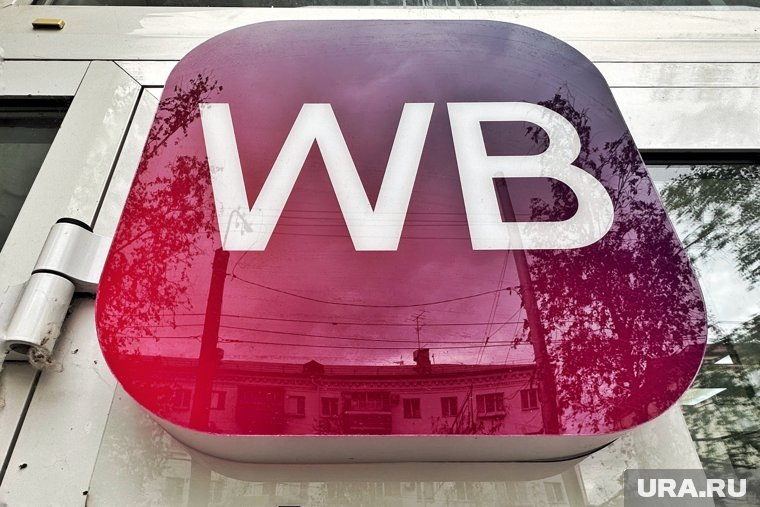 Шопинг на Wildberries и Ozon изменится навсегда: закон с 1 октября