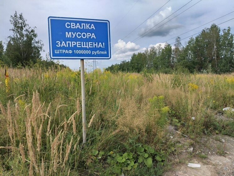     Должно уменьшиться количество нелегальных свалок. Фото: архив МК в Мурманске