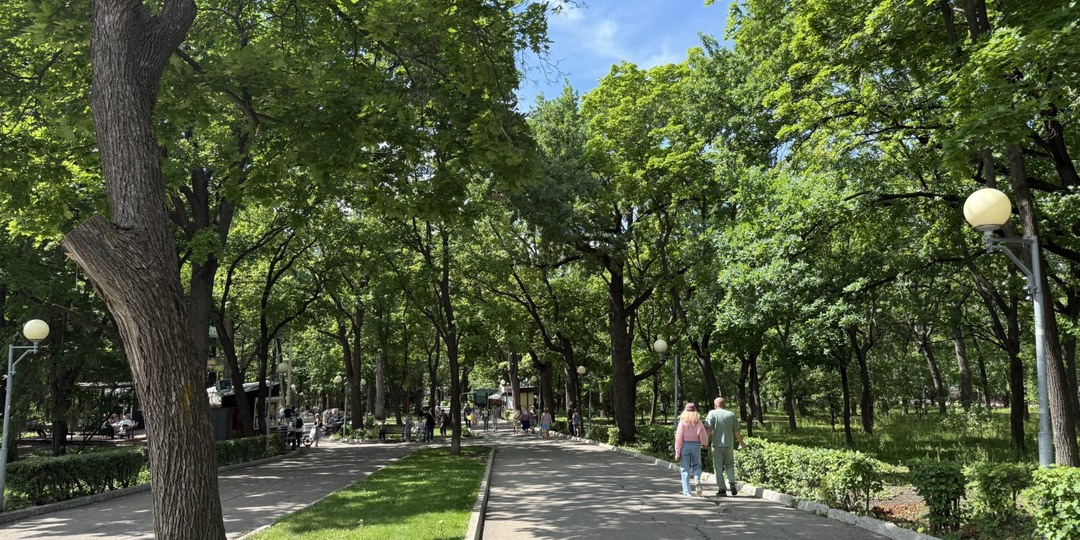 Жара до +30°C и грозы: погода в Самарской области с 7 по 11 июля