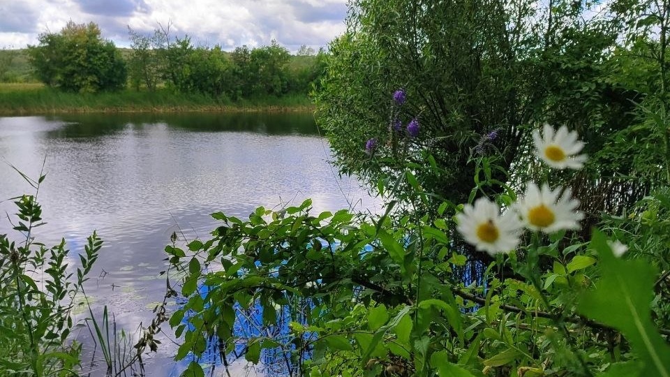 Цифровой детокс