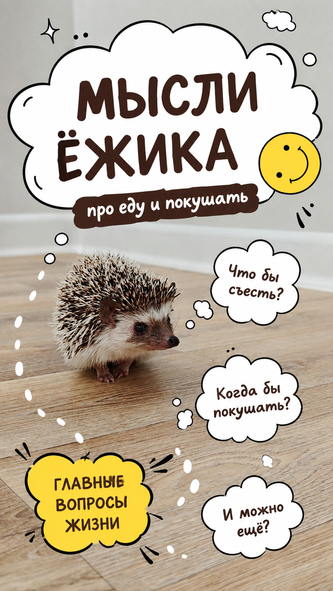 Главные вопросы 