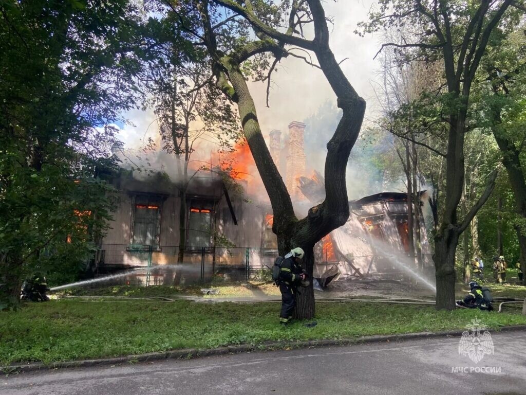    Фото: пресс-служба управления МЧС РФ по Петербургу