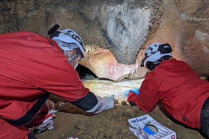 Учёные обнаружили ДНК древних людей прямо на наскальной живописи в пещерах. Фото © Matthias Meyer; from: Bossoms Mesa et al., Nature Communications (2026)