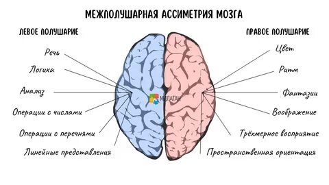 Ребёнок молчит не потому, что «ленится»: 12 скрытых причин задержки речи, о которых не расскажет обычный логопед