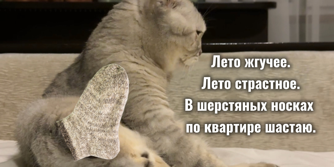 У нас именно такое лето🥶