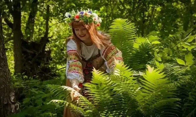 ПАПОРОТНИК ДЛЯ ДВОИХ (История, основанная на реальных воспоминаниях моей бабушки)