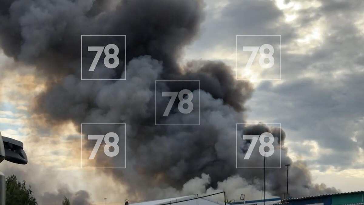    Фото: 78.ru