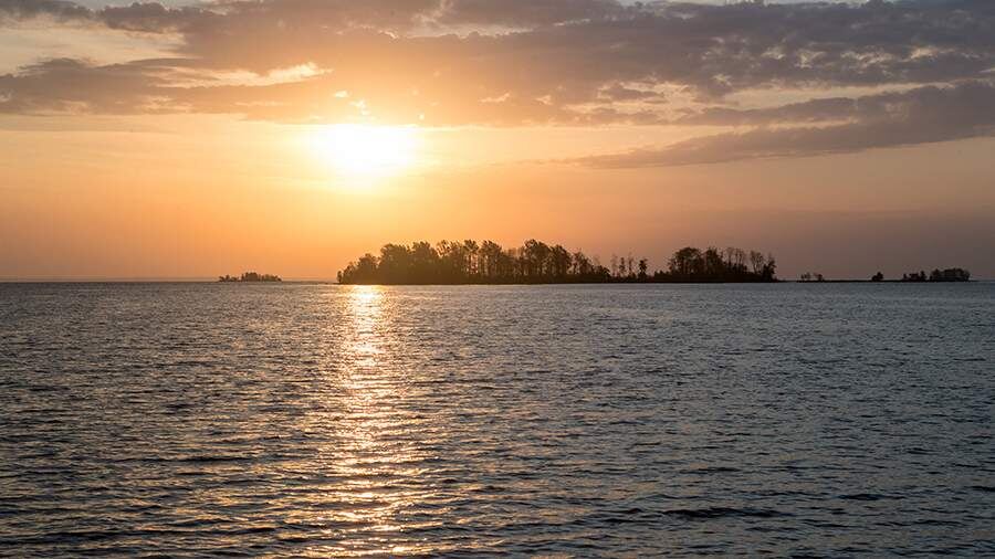    Фото: РИА Новости/Илья Тимин