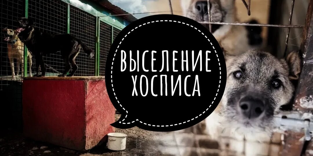 Реальное ВЫСЕЛЕНИЕ хосписа, мы БЕССИЛЬНЫ!