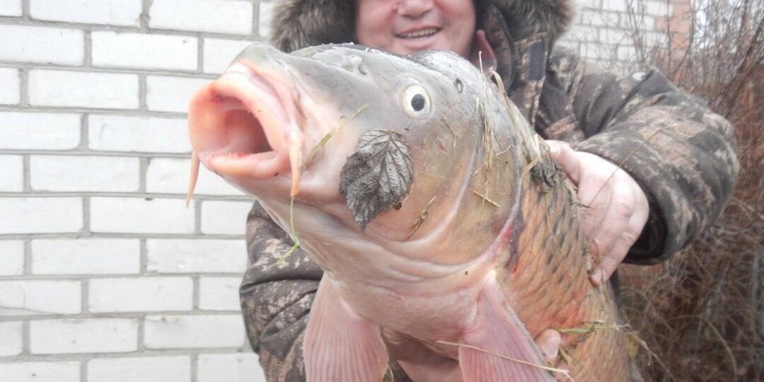 🎣 Второй день недели памяти Юрия Викторовича Репина