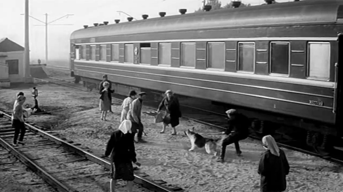 Глазычев поймал собаку