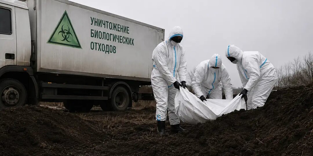 Приказано уничтожить: ветеринарию настиг коллапс