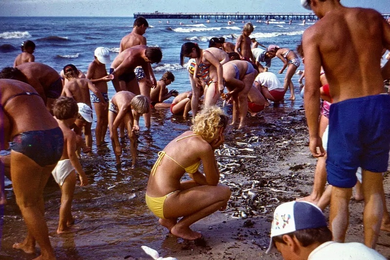 Как жили советские люди: Вильнюс, Литовская ССР и балтийские пляжи на фотографиях 1960-1980-х гг.