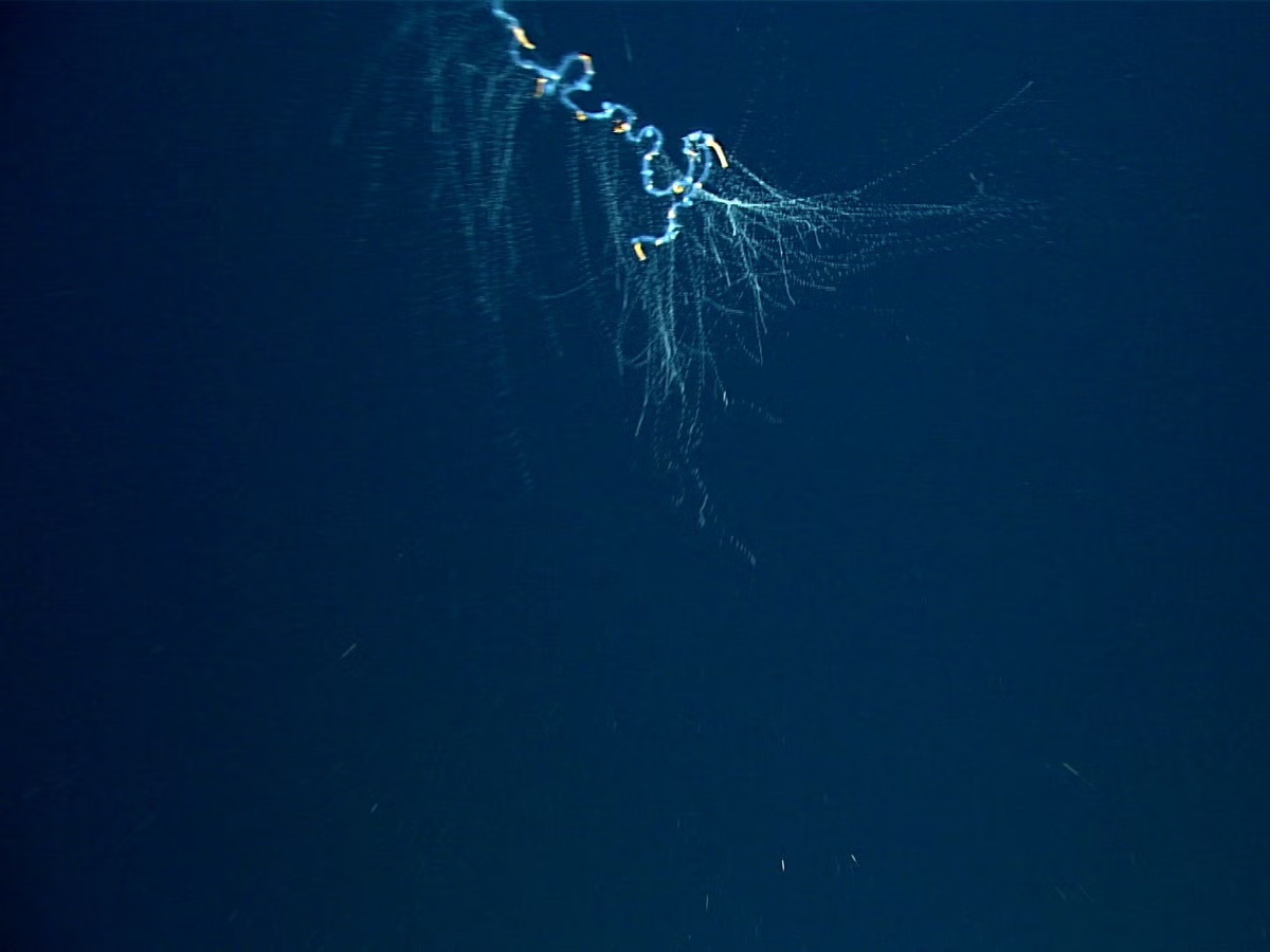 � NOAA