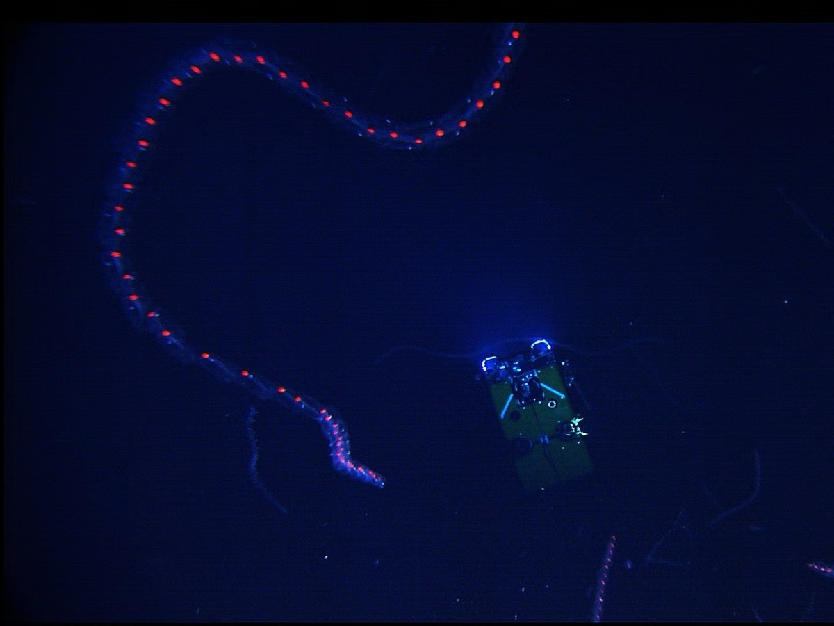 � NOAA