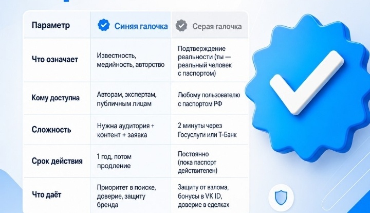 В чём разница между серой и синей галочкой