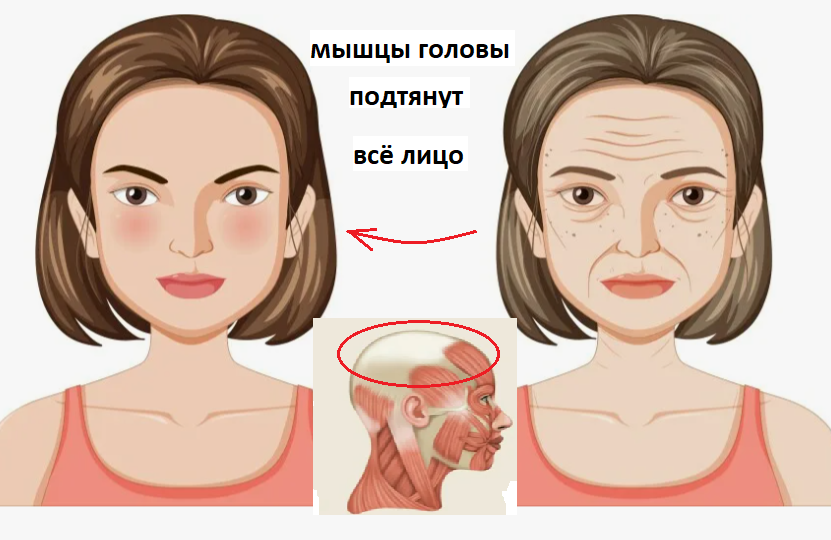 Делаю каждый день или как получить мгновенный лифтинг лица с расслаблением: 4 действия